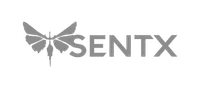 Sent X Soft Grey